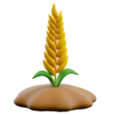 🌾