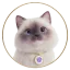 🐈